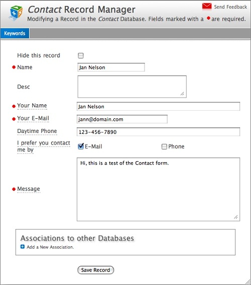 Database Record Edit Window