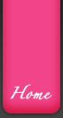 Wedding Planner