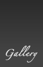 Weddings Denver