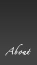 About Wedding Planners